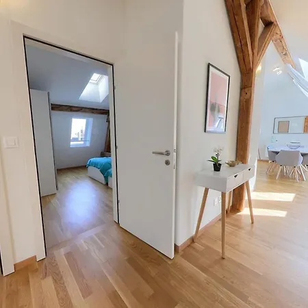 Lejlighed 3-bed With Skylight Windows Rm4-6f Lausanne